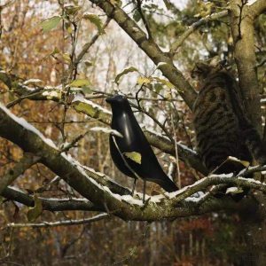 Lampa dekoracyjna Eames House Bird czarna z żywicy