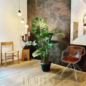 Lampa wisząca Ball Series, metalowe kule w różnych kolorach