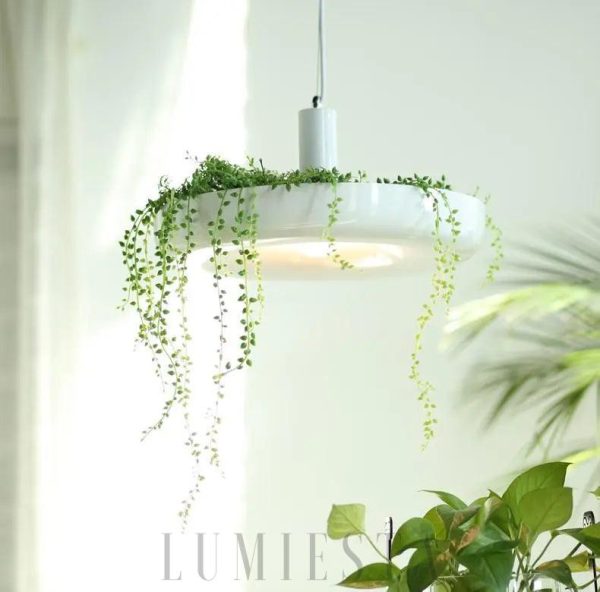 Nowoczesna lampa wisząca z doniczką na rośliny